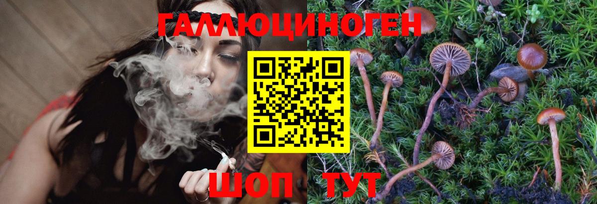 Псилоцибиновые грибы Magic Shrooms  Вход с VPN  Сорочинск 